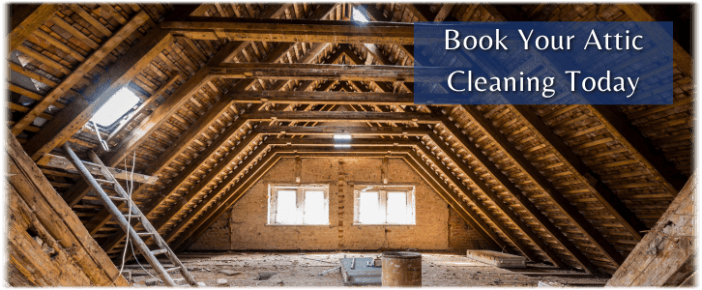 Attic Cleaning Davie FL
